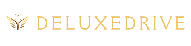 DELUXE DRIVE