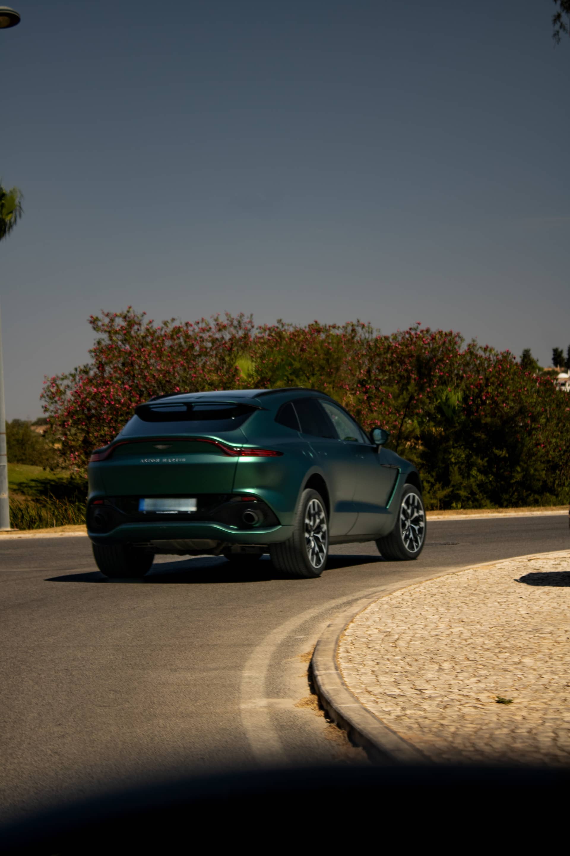 Aston Martin DBX - View 2